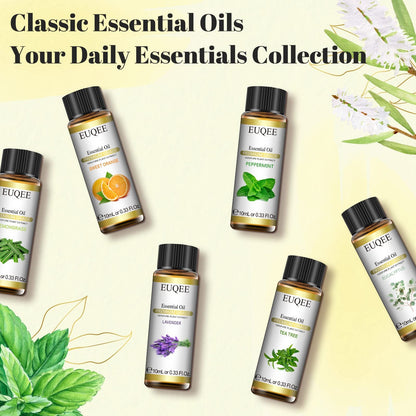 Essential Oils Set 6*10ML Aromatherapy - Image 9