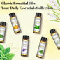 Essential Oils Set 6*10ML Aromatherapy - Image 9