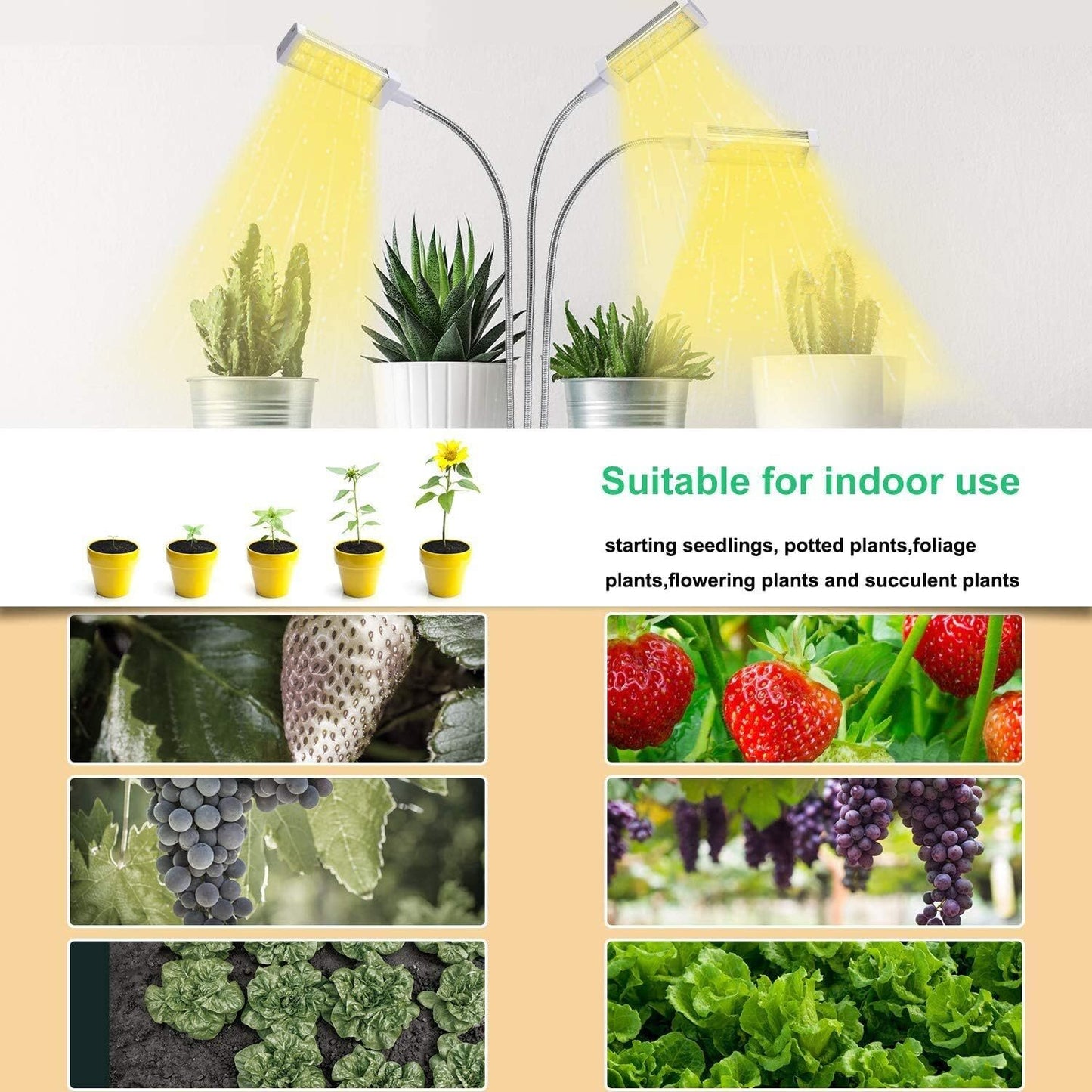 Indoor use cases: succulents, seedlings, potted plants, strawberries, grapes, kale and leafy greens