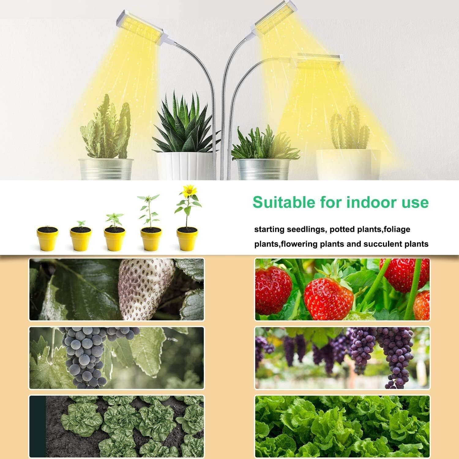Indoor use cases: succulents, seedlings, potted plants, strawberries, grapes, kale and leafy greens