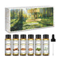 Essential Oils Set 6*10ML Aromatherapy - Image 10