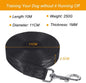Long Line Dog Leash 10M/32FT - Image 7