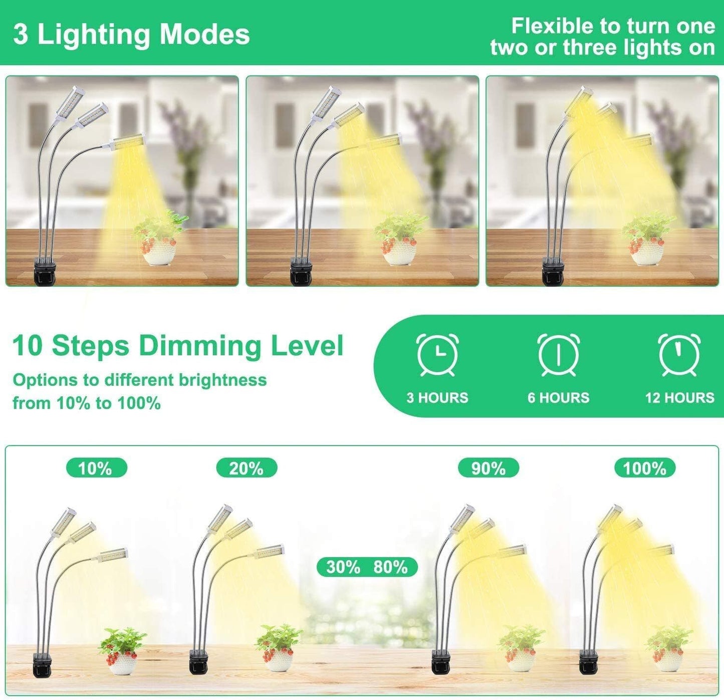 3 lighting modes and 10 brightness levels diagram for an indoor plant grow light with 3H, 6H, 12H timer
