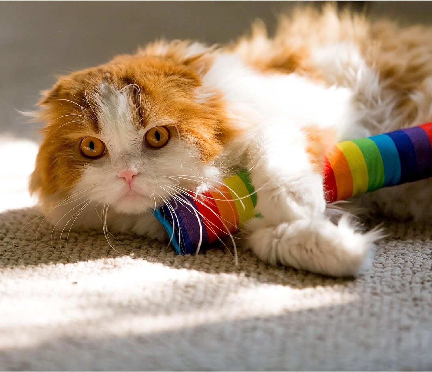 4 Pack Cat Kicker Toys - Image 3