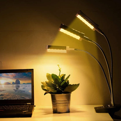 3-Head LED Grow Light Full Spectrum with Timer for Indoor Plants UK