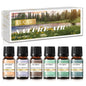 Essential Oils Set 6*10ML Aromatherapy - Image 11