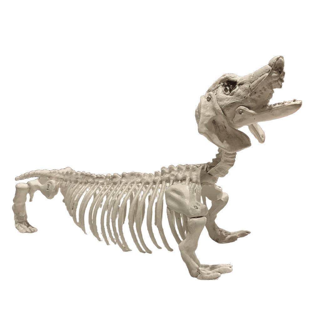 Skeleton Figurines Skull Ornament Statue Memorial - product image 2 of 7