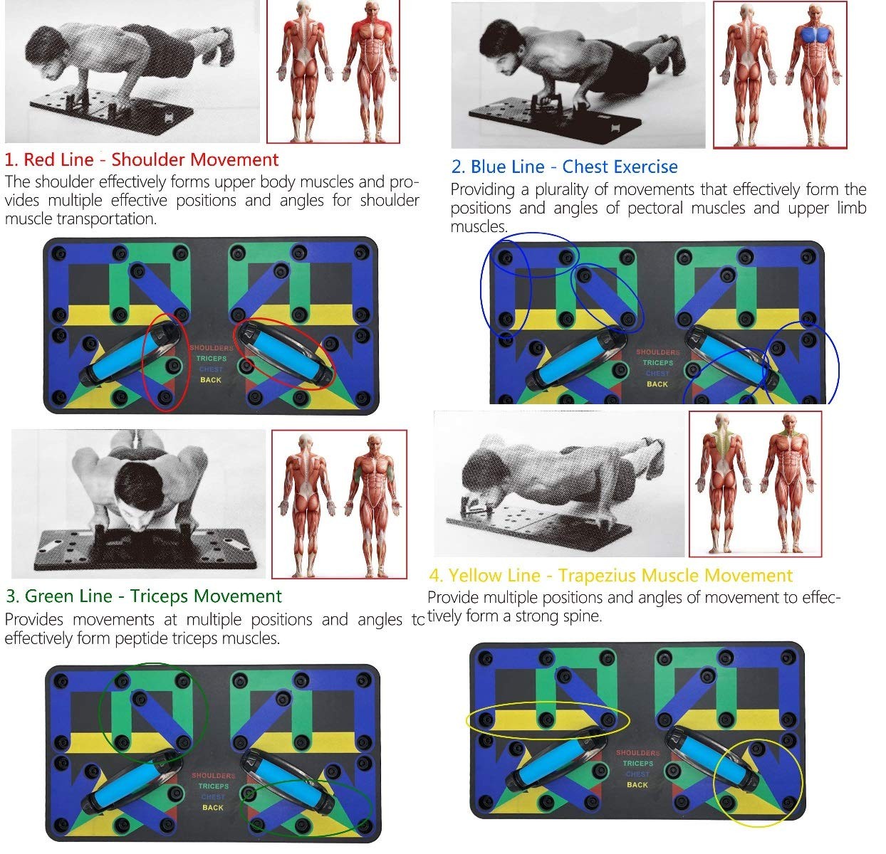Family Push Up Board 17 - Image 6
