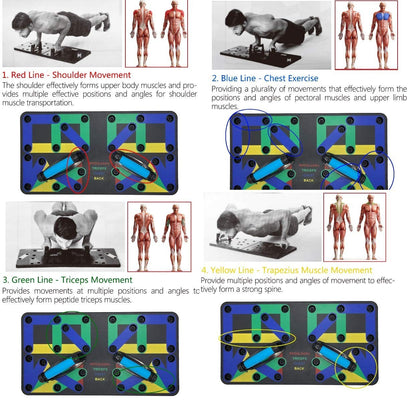 Family Push Up Board 17 - Image 6